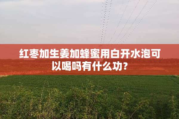 红枣加生姜加蜂蜜用白开水泡可以喝吗有什么功？