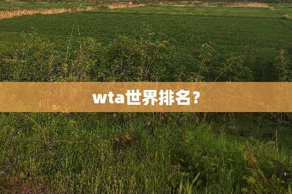 wta世界排名？