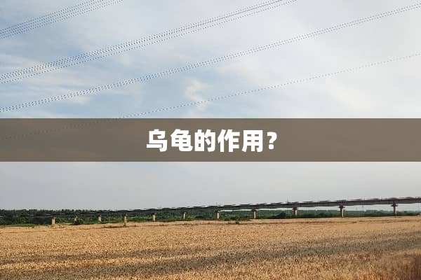乌龟的作用？