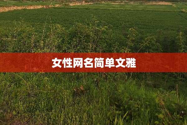 女性网名简单文雅