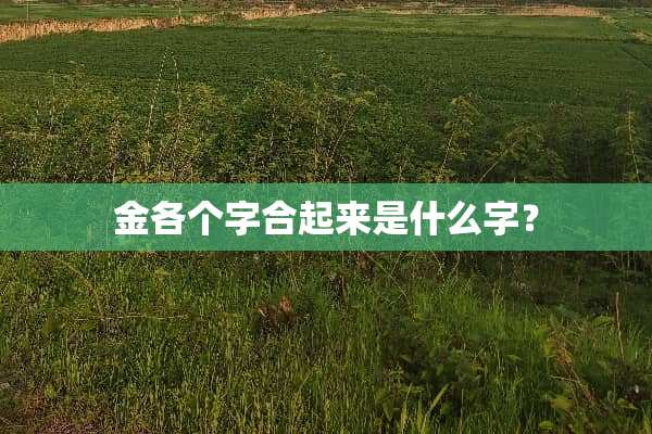 金各个字合起来是什么字？