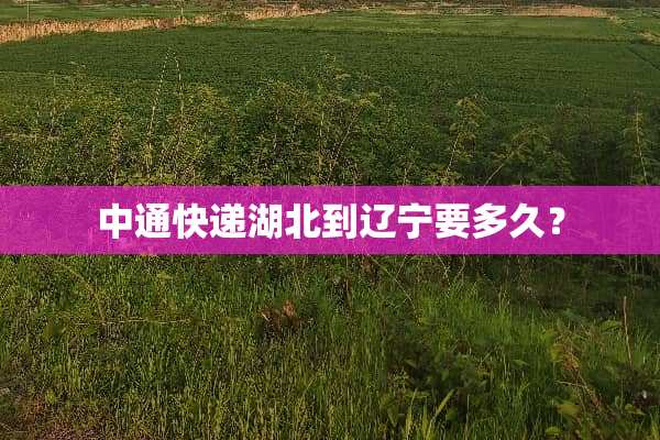 中通快递湖北到辽宁要多久？