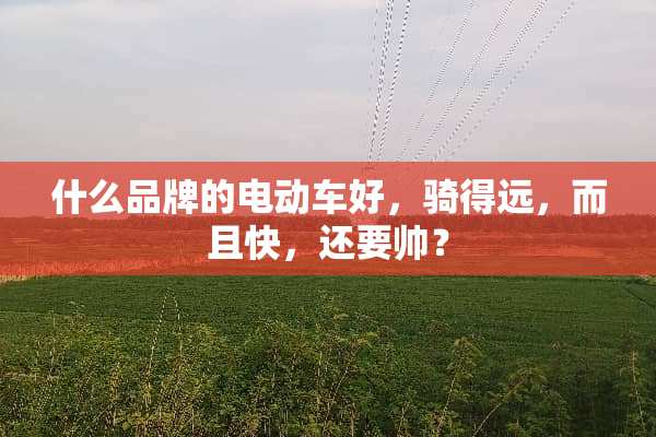 什么品牌的电动车好，骑得远，而且快，还要帅？
