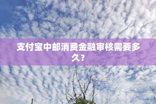 支付宝中邮消费金融审核需要多久？