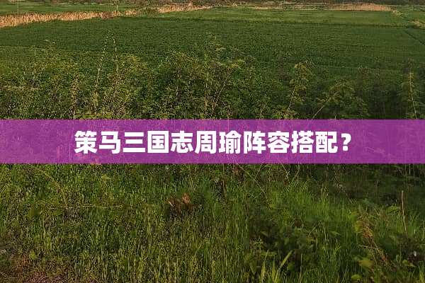 策马三国志周瑜阵容搭配？
