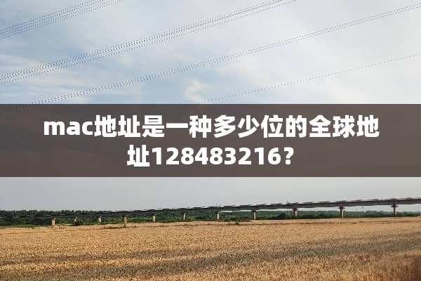 mac地址是一种多少位的全球地址128483216？