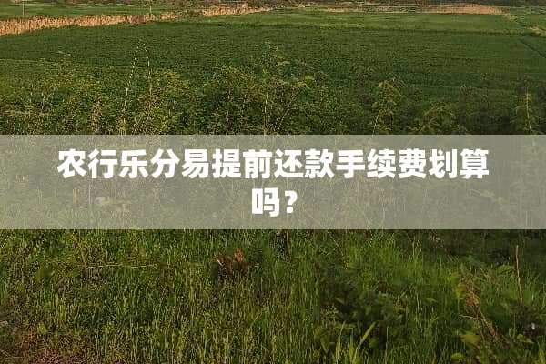 农行乐分易提前还款手续费划算吗？