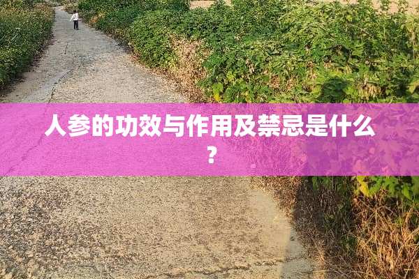 人参的功效与作用及禁忌是什么？
