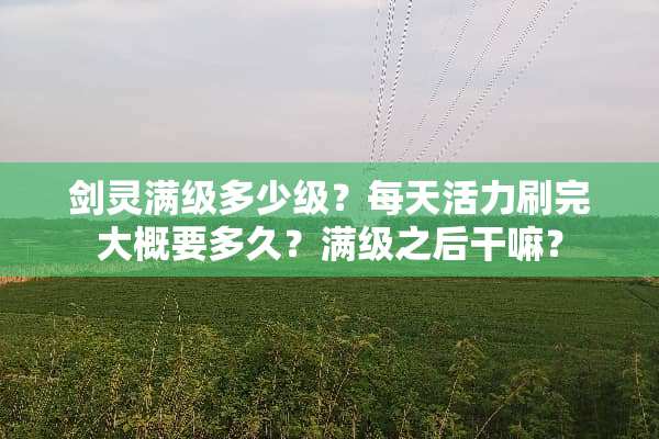 剑灵满级多少级？每天活力刷完大概要多久？满级之后干嘛？