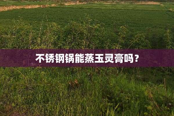 不锈钢锅能蒸玉灵膏吗？