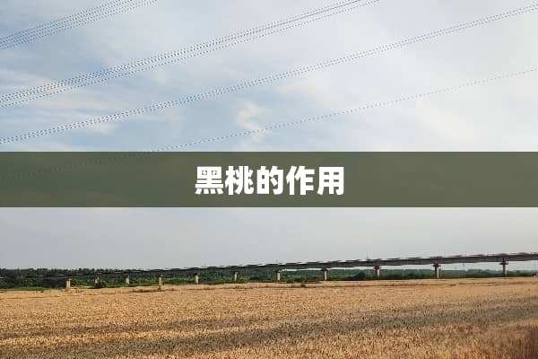 黑桃的作用