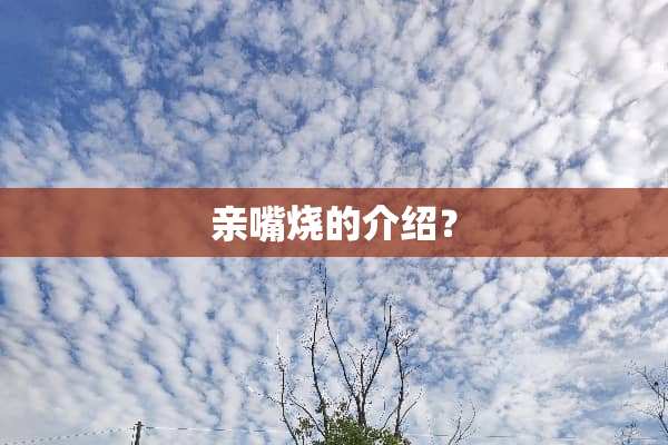 亲嘴烧的介绍？
