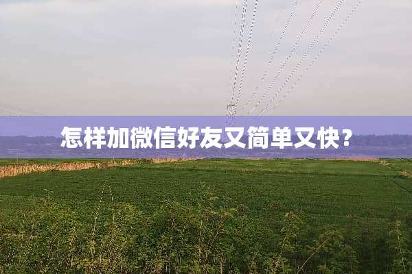 怎样加微信好友又简单又快？