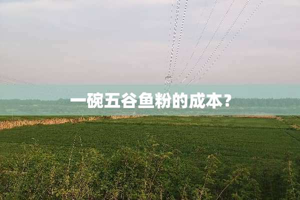 一碗五谷鱼粉的成本？