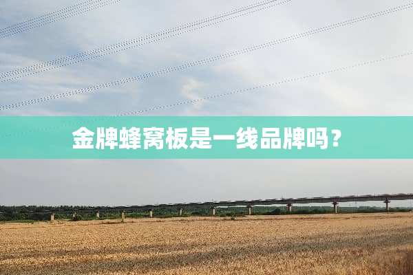 金牌蜂窝板是一线品牌吗？