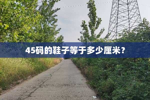 45码的鞋子等于多少厘米？
