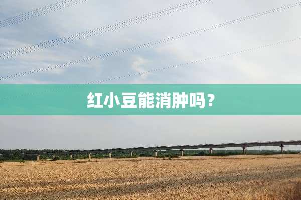 红小豆能消肿吗？