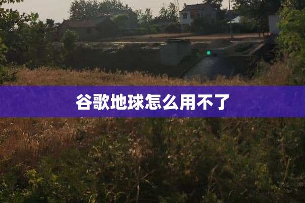谷歌地球怎么用不了