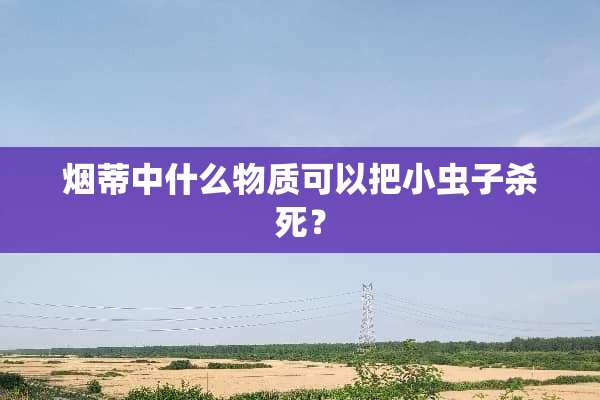 烟蒂中什么物质可以把小虫子**？