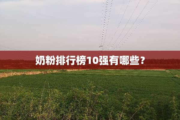 奶粉排行榜10强有哪些？