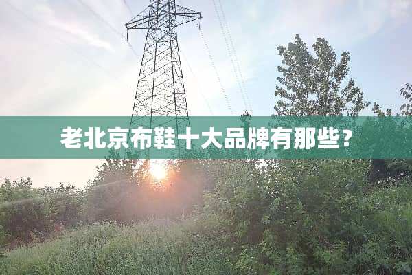 老北京布鞋十大品牌有那些？