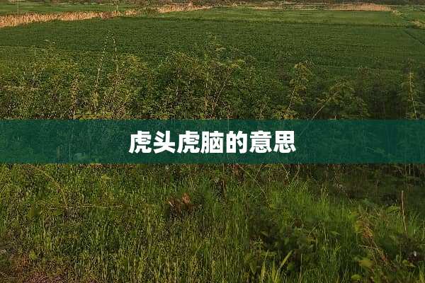 **虎脑的意思