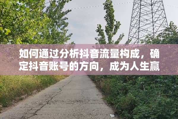 如何通过分析抖音流量构成，确定抖音账号的方向，成为人生**