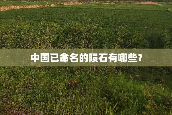 中国已命名的陨石有哪些？