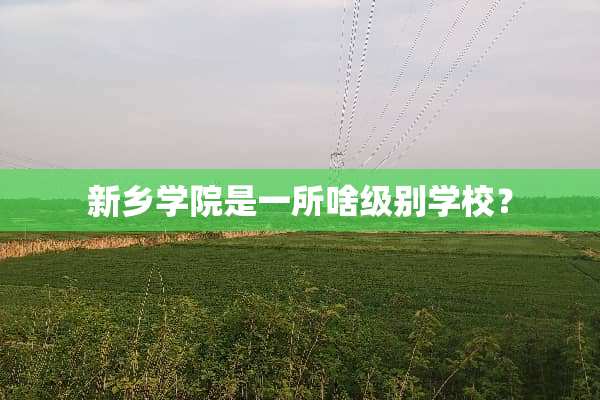 新乡学院是一所啥级别学校？