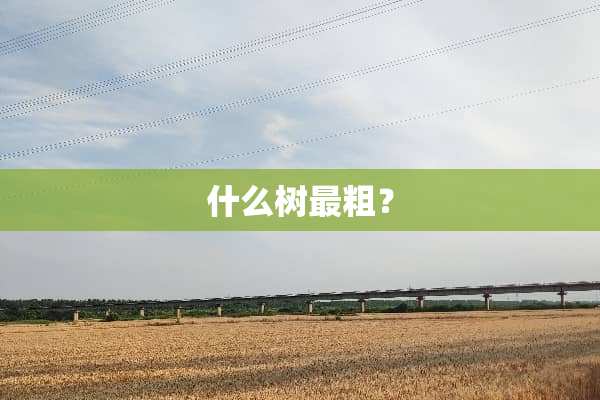什么树最粗？