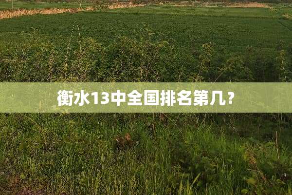 衡水13中全国排名第几？
