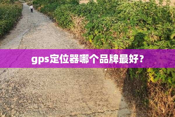 gps***哪个品牌最好？