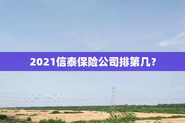 2021信泰保险公司排第几？