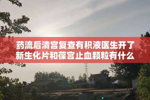 药流后清宫复查有积液医生开了新生化片和葆宫止血颗粒有什么作用和能一起吃吗？