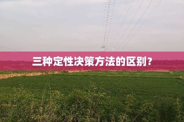 三种定性决策方法的区别？