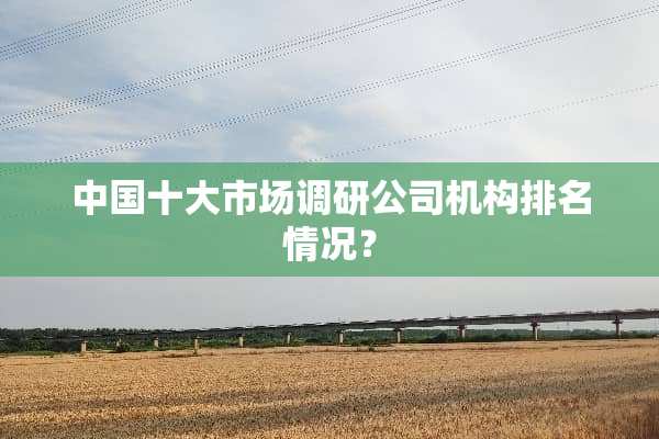 中国十大市场调研公司机构排名情况？