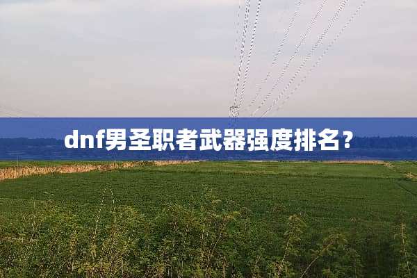 dnf男圣职者**强度排名？
