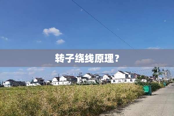 转子绕线原理？