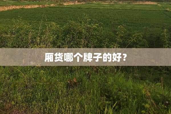 厢货哪个牌子的好？