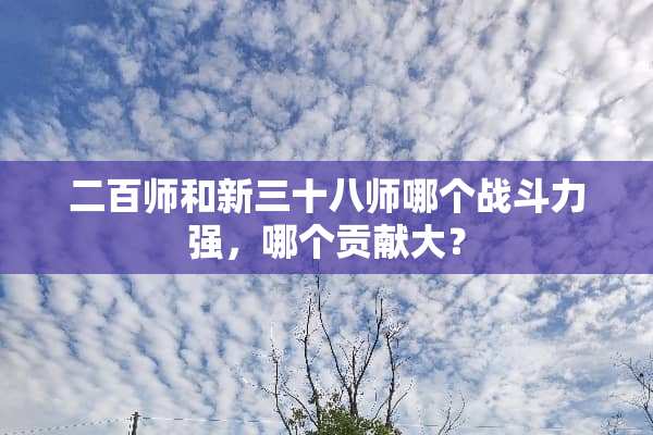 二百师和新三十八师哪个战斗力强，哪个贡献大？