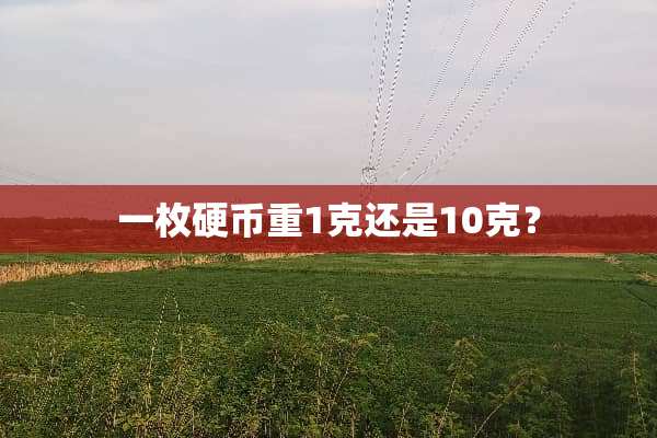 一枚**重1克还是10克？