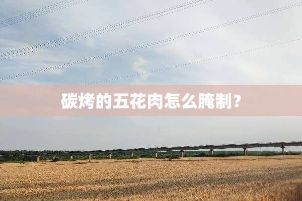 碳烤的五花肉怎么腌制？