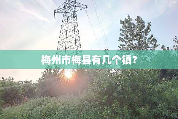 梅州市梅县有几个镇？