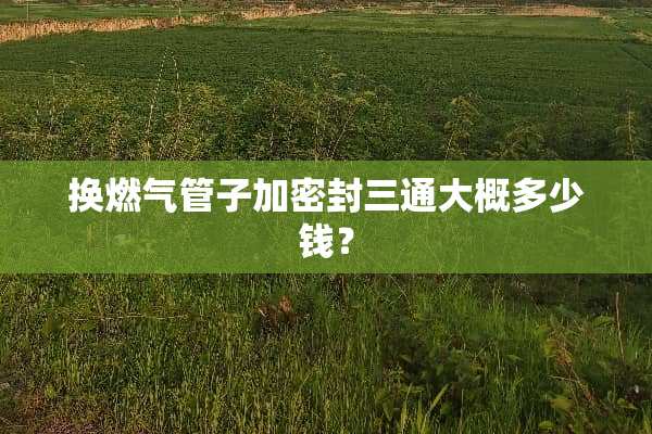 换燃气管子加密封三通大概多少钱？