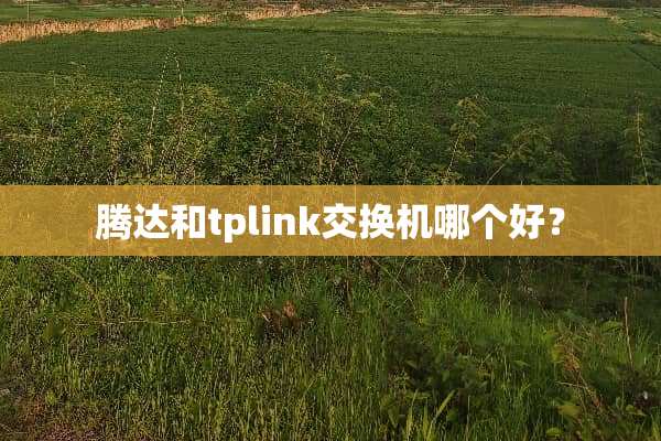 腾达和tplink交换机哪个好？