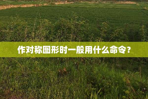 作对称图形时一般用什么命令？