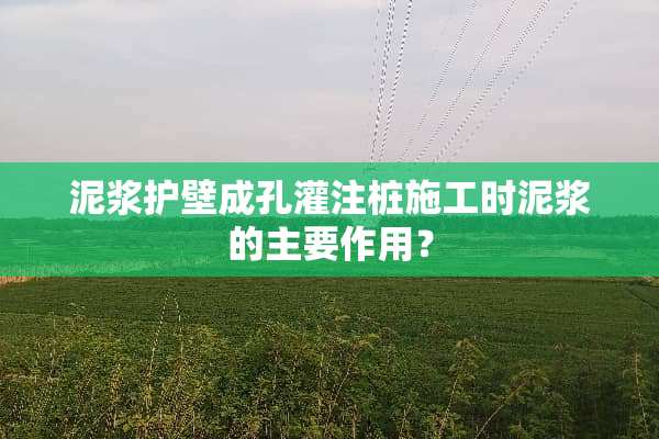 泥浆护壁成孔灌注桩施工时泥浆的主要作用？
