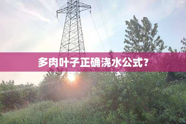 多肉叶子正确浇水公式？
