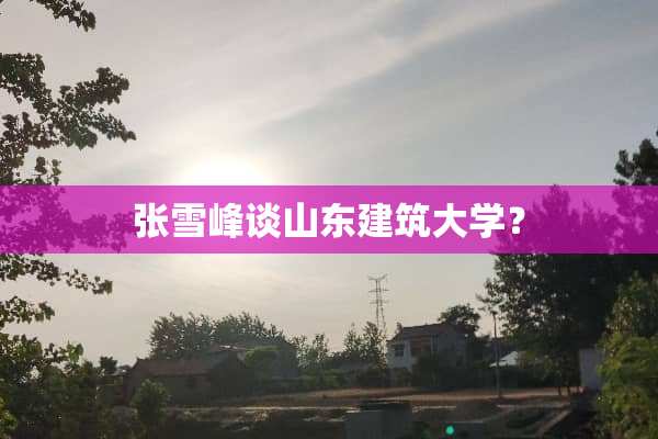 张雪峰谈山东建筑大学？