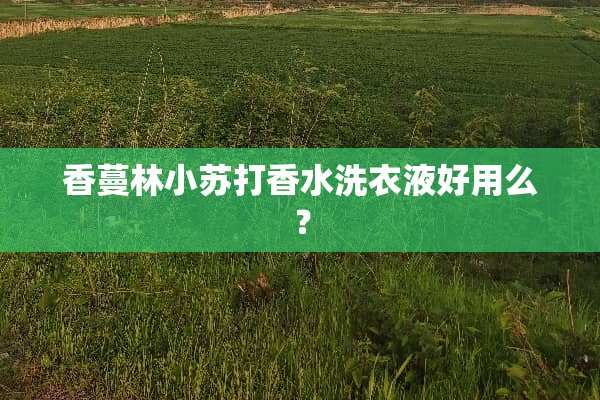 香蔓林小苏打香水洗衣液好用么？